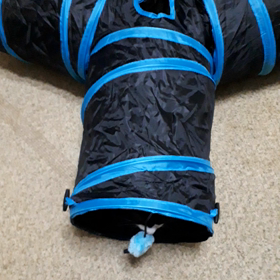 連勤初日の画像