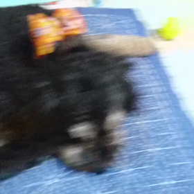 安眠妨害の画像