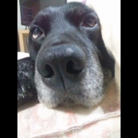 大好き！の画像