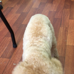 雪〜〜っ(๑˃̵ᴗ˂̵)の画像