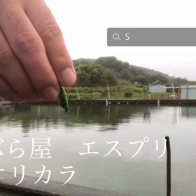 やってみた！の画像