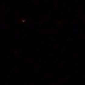 秋の大合唱の画像