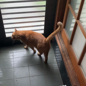 2023/05/27 今週のハナの画像