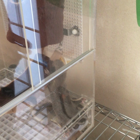 ミルクタイムの画像