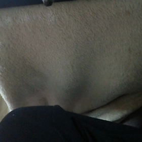 ♯ハリネズミ こはく ダイブ！(@￣□￣@;)！！♯の画像