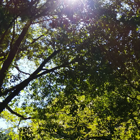 太陽☀✨の画像