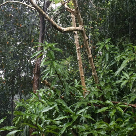 滝の雨の画像
