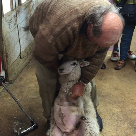 農園見学 2の画像