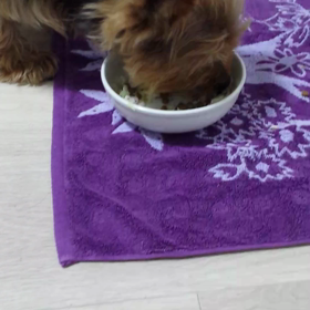 美味しくたべてるの画像