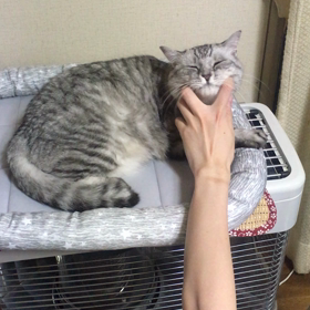 いじられキャラの画像