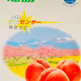 介護記録１２６（真実はいつも１つ！）の画像