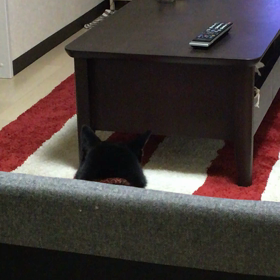 (´ε｀ )♡の画像