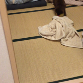 シェリの新しいオモチャの画像