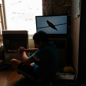 かっこう～っ♪の画像