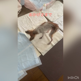 19才5ヶ月になりましたが、、、の画像