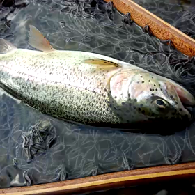 久しぶりの(^^)の画像