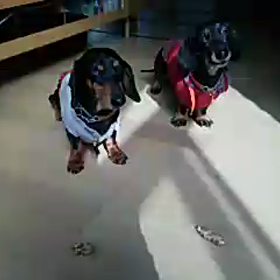 早く食べたいよ～の画像