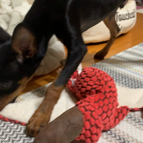 重大なお知らせ。の画像