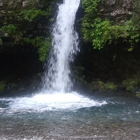 誰かに愛して欲しいと願うのを諦めるの画像