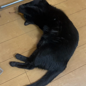 場地くんに感動した話と、本日のるなの画像