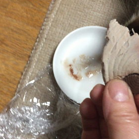 鰹うまいニャアの画像