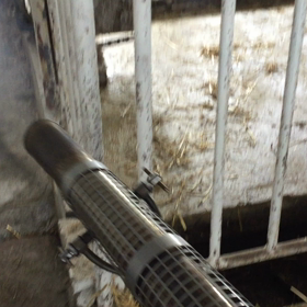 ハエの駆除の画像