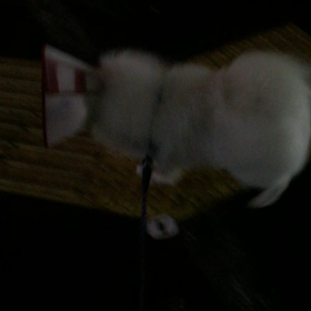 ラッパたいすけの画像