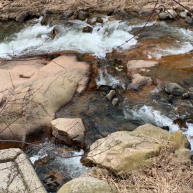 癒されます………の話し。の画像