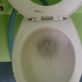 本日休！流水直ったあす！の画像