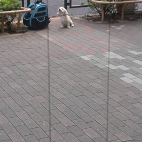 指導インの画像