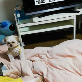 皆さん大丈夫ですかの画像