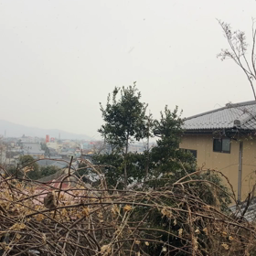 さみーねの画像