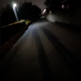 戦慄な鳥の声…の画像