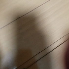 猫の名前が決まりました！の画像