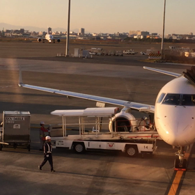 飛行機から降りるシェリさん『動画』の画像
