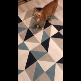 第一回放射線治療後の海と空の画像