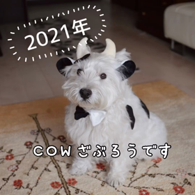 2021年 COWざぶろうの画像
