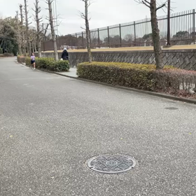 1/20 1000m　ゴールの画像