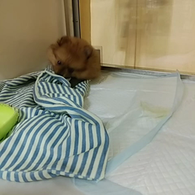 ♡お客様へ♡の画像