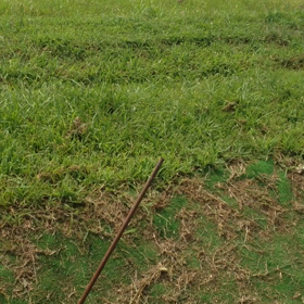 みつけたの画像