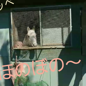 競馬あけの今日……の画像