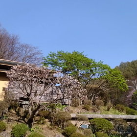 お天気サイコーですっの画像
