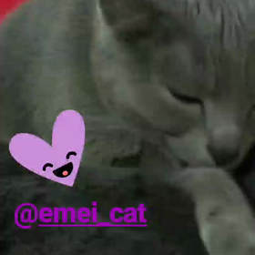 仲良しさん♥️の画像