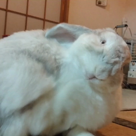 そういえばの画像