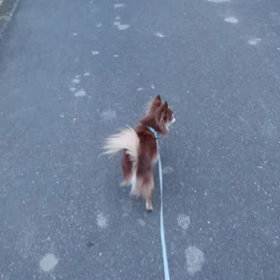 無駄な動きの画像