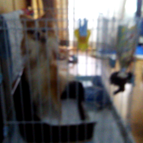 朝ごはんください。の画像