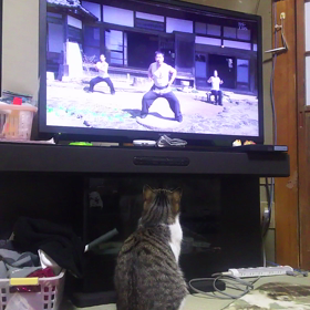 テレビが大好きです。の画像