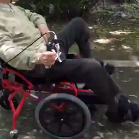 進化合戦⁉の画像