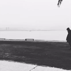 明け方のインスタ・・・ミヌの画像