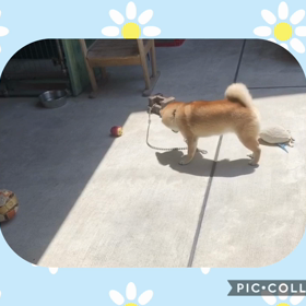 リンパ浮腫がしんどいです…の画像